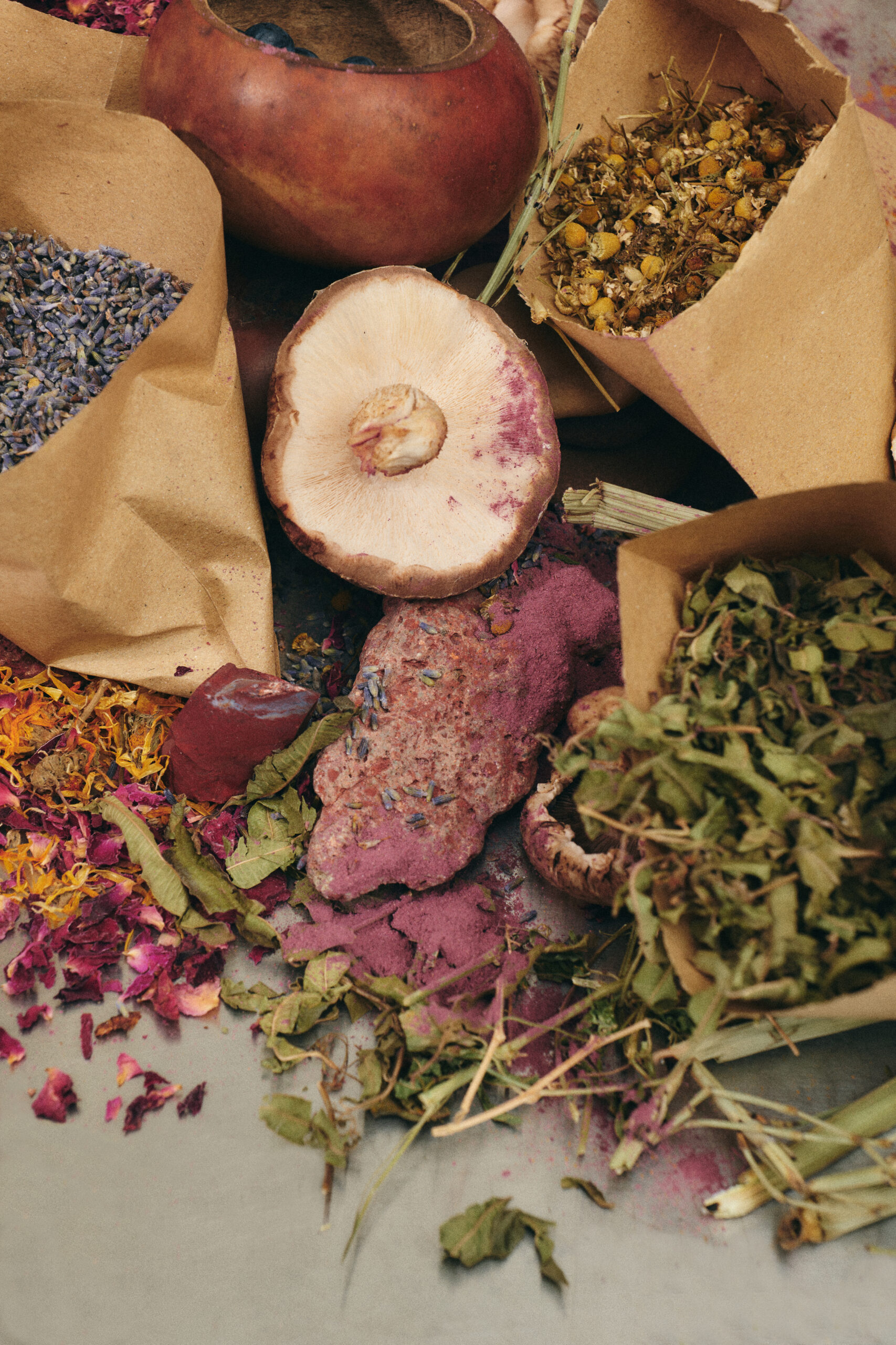 Best Supplement with Adaptogens for Women